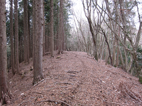 20190205hike (122)